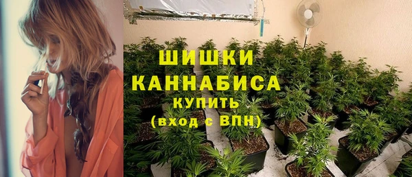 винт Няндома
