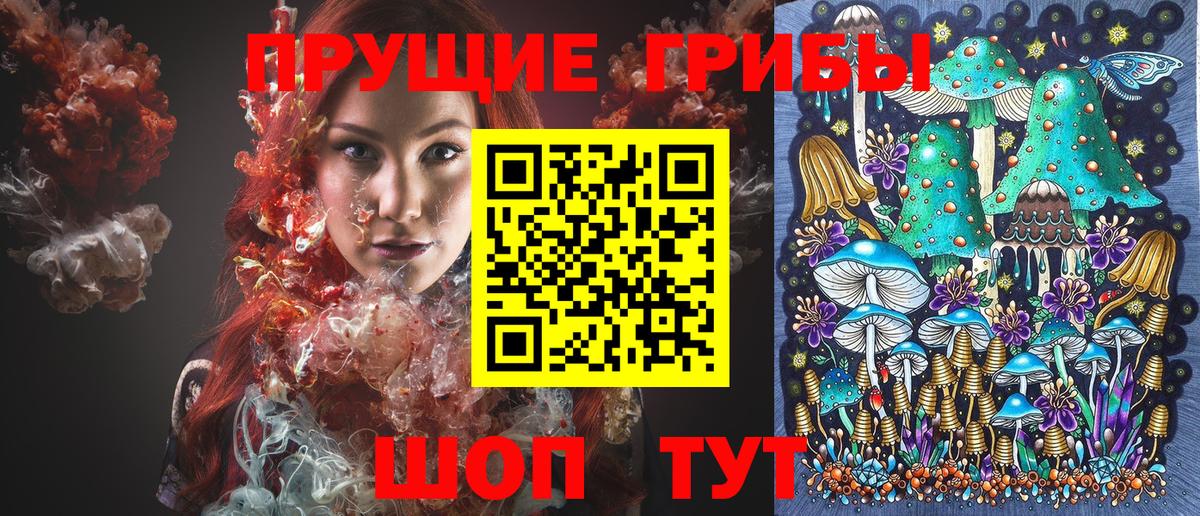 Псилоцибиновые грибы прущие грибы Каспийск