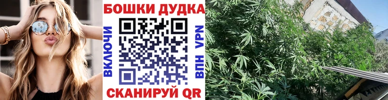 где найти наркотики  Каспийск  Канабис Bruce Banner 